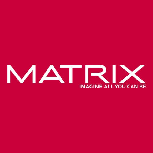 Matrix Logo